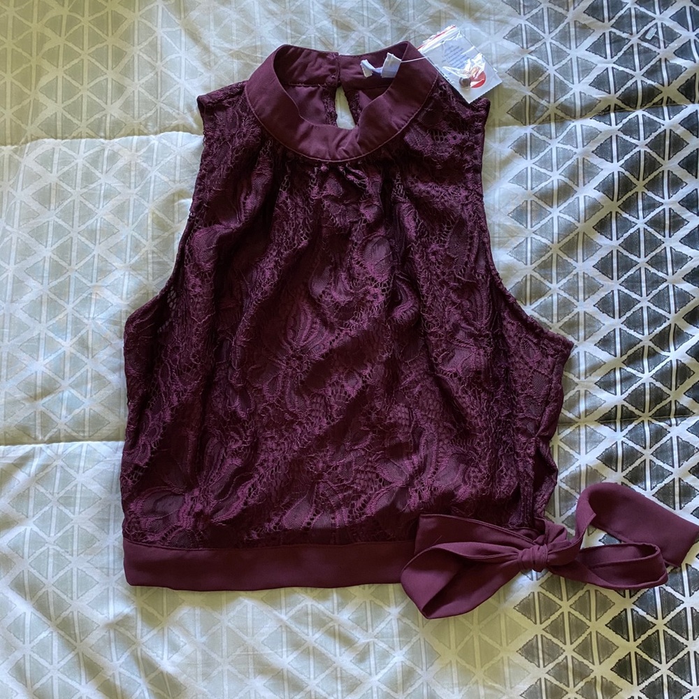 Perple Mesh Crop